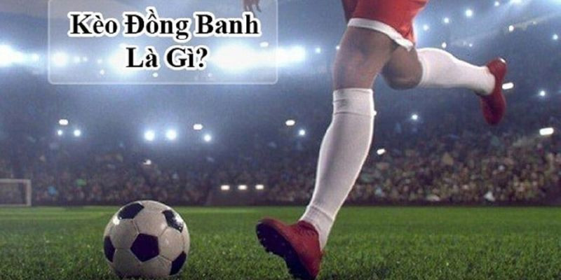 Tổng quan thông tin về kèo đồng banh